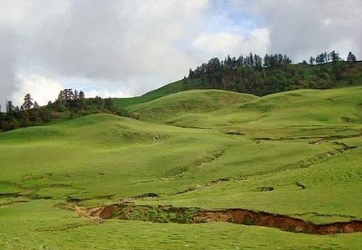 Dayara Bugyal