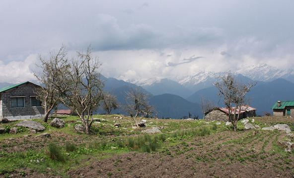 Balati Potato Farm