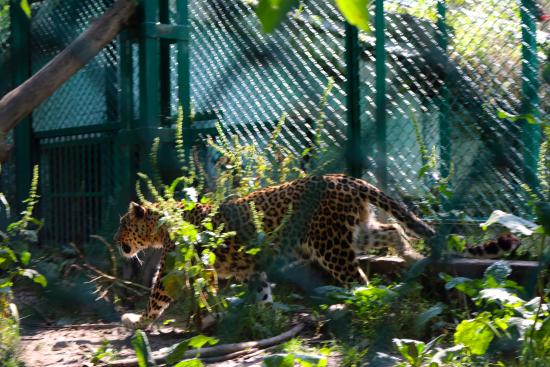 Dachigam Wildlife Sanctuary