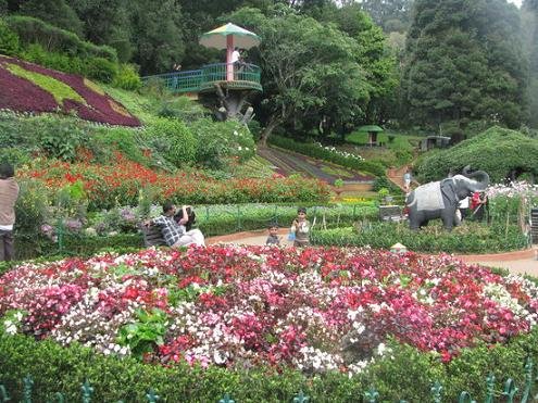 Ooty