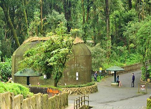 Padmaja Naidu Himalayan Zoological Park