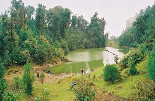 Neora Valley National Park