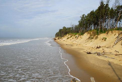 Shankarpur Beach