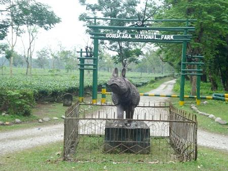 Gorumara National Park