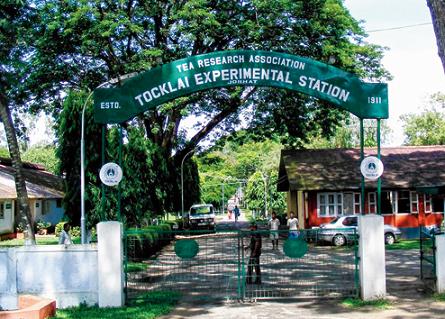 Tocklai Tea Research Centre