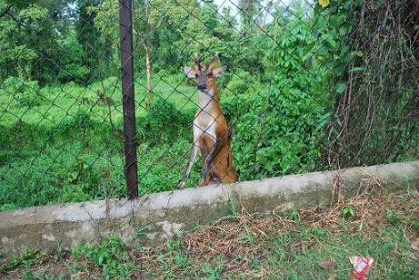 Zoological park