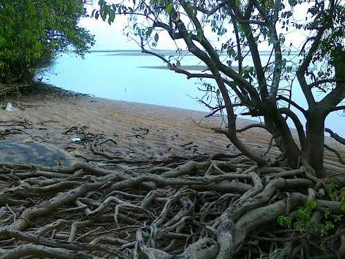 Thalangara Childrens Park