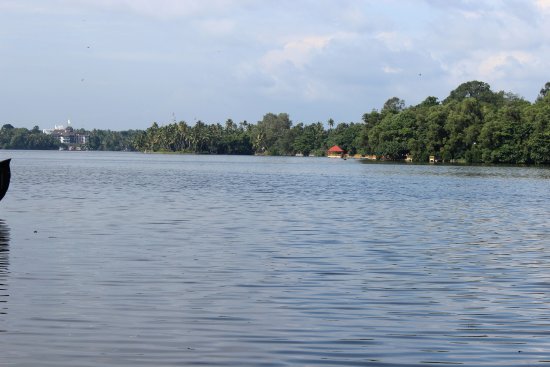 Ashtamudi Lake