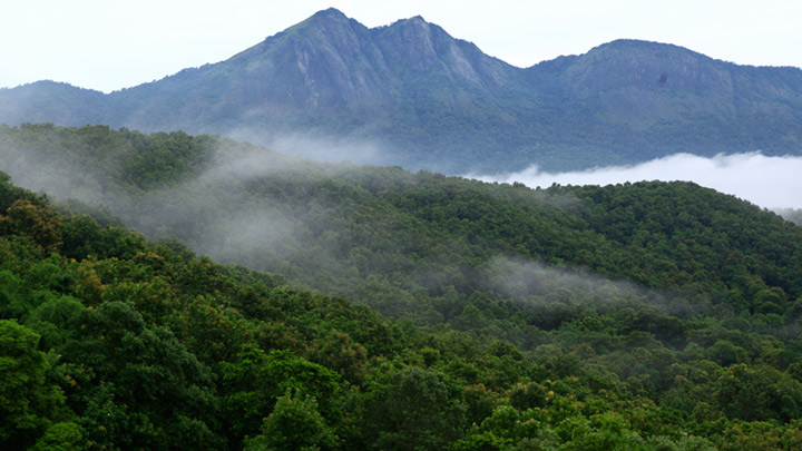 Silent Valley National Park