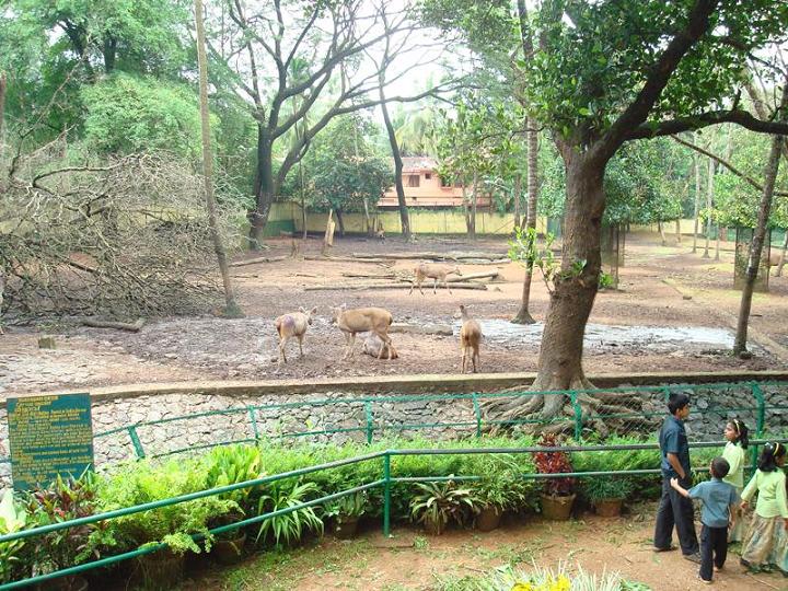 Thrissur Zoo