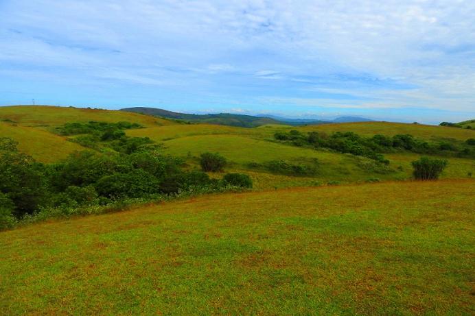 Vagamon Meadows