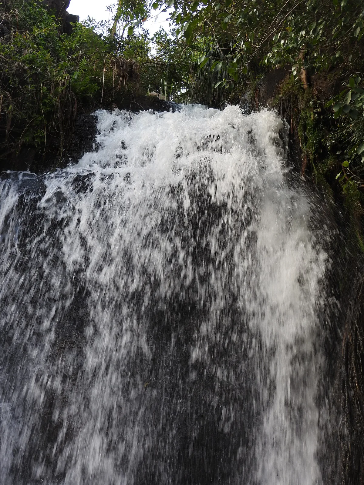 Agasthiyar Falls Papanasam Tirunelveli