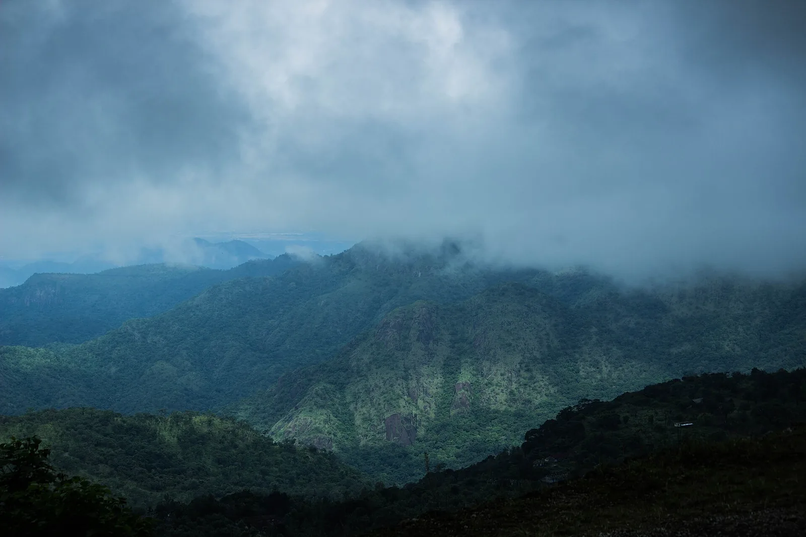 KMTR Tiger Reserve Tirunelveli