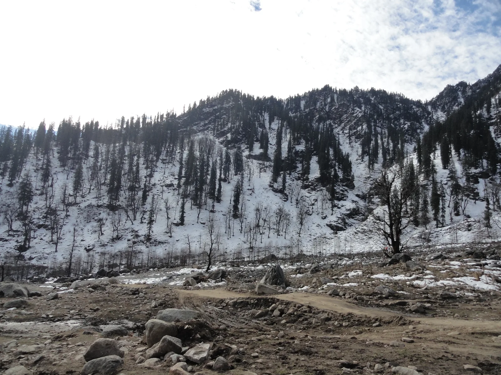 Solang Valley Paragliding and Skiing Manali