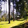 Dhanaulti