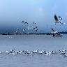 Triveni Sangam