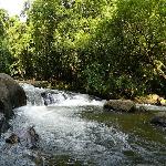 Thommankuthu Waterfall