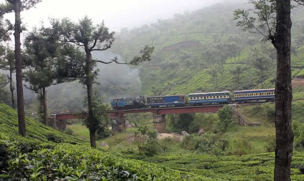 Ooty