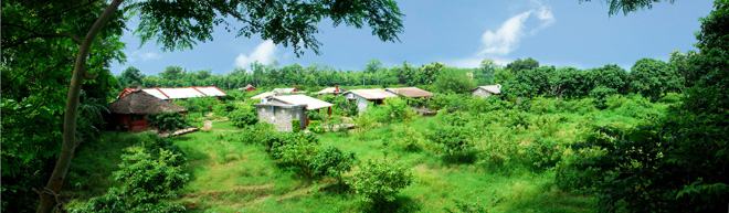 Jaagar - The Village Resort Corbett