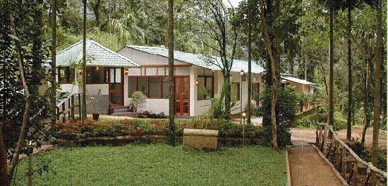 Glenmore Resort Munnar