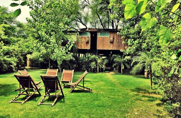 Tree House Resort Jaipur