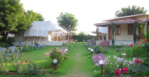 Jungle View Resort Ranthambore