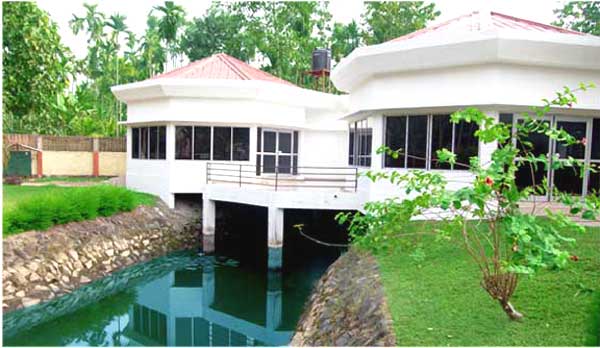 Dhanshree Resort Kaziranga