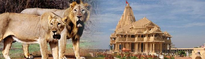 Somnath Holiday Package 