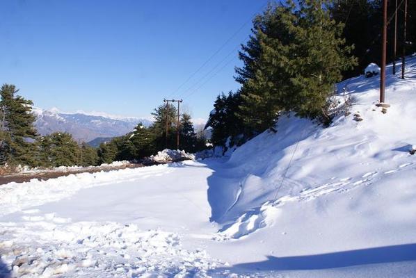 Patnitop Tours