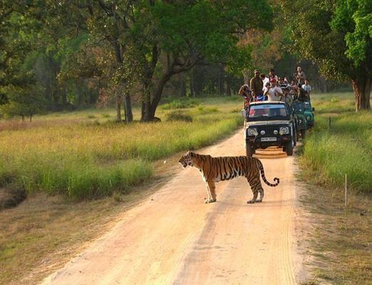 Kanha Tour Package