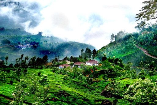 Mysore Coorg Tour Packages