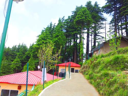 Wildex Camp Kanatal