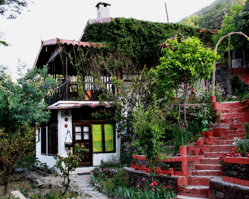 Jungle Lore Birding Lodge Pangot