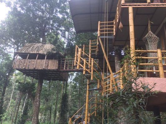 Jungle Jive Tree House Munnar