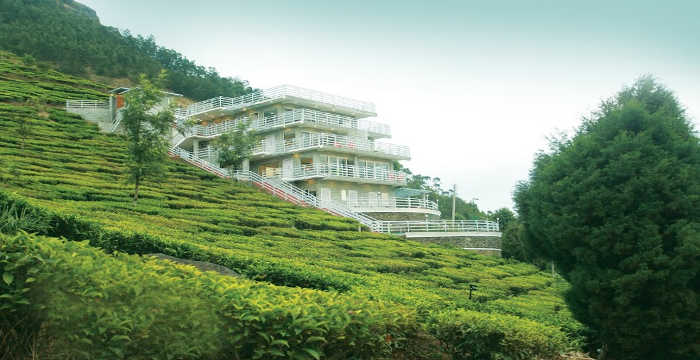 Capithans Bungalow Munnar