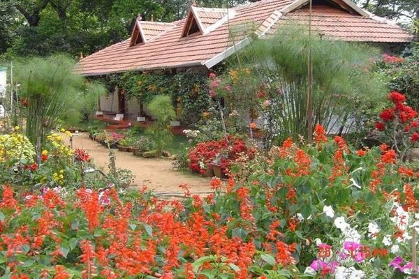 Rose Gardens Homestay Munnar