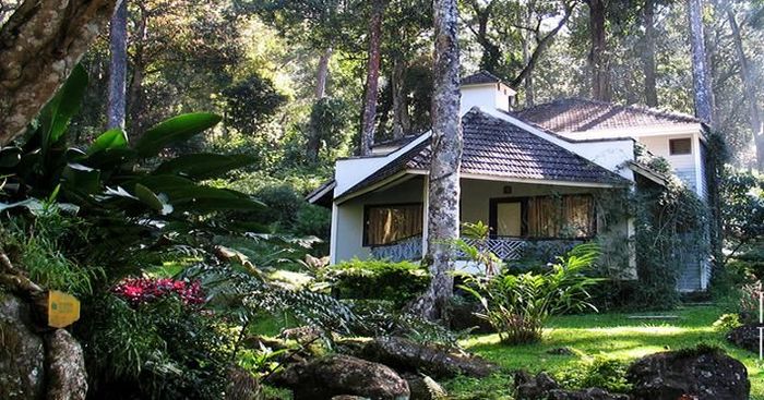 Tall Trees Resort Munnar