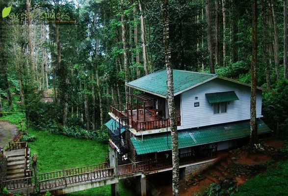 Green Spaces Munnar