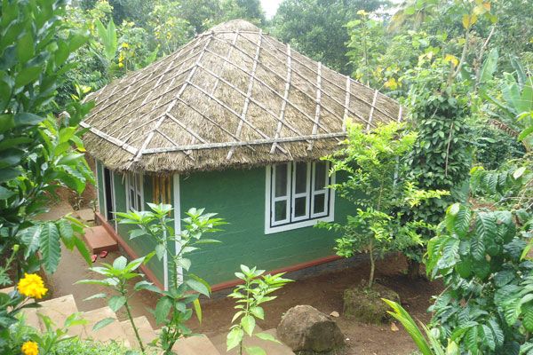 Harithavanam Farm Resort Thekkady