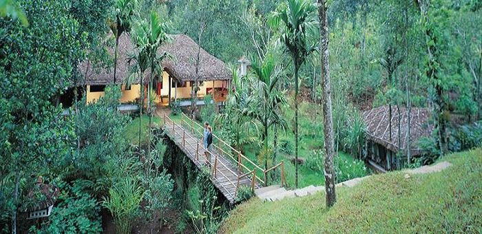 Shalimar Spice Garden Thekkady