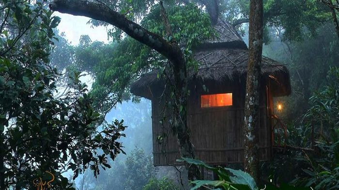 Vanya Tree House Thekkady