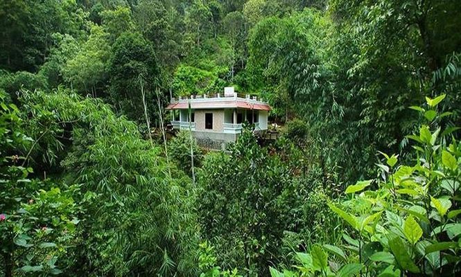 Spring and Valley View Thekkady