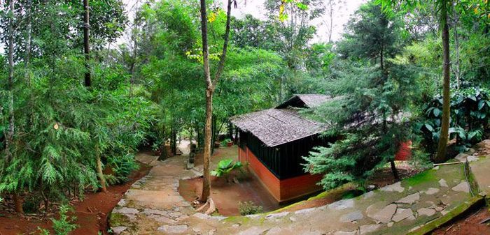 Soochipara Resort Wayanad