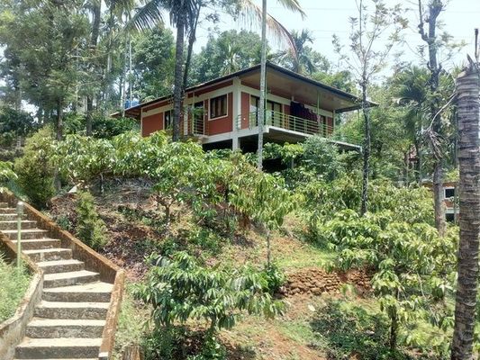 Olive Mountain View Resort Wayanad