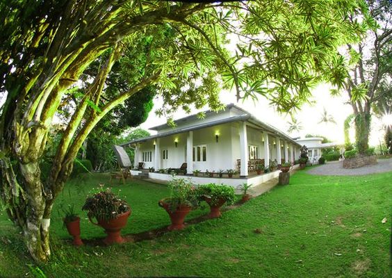 Parisons Plantation Bungalow Experiences Wayanad