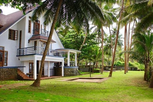 The Jackfruit Tree at Beach Kozhikode