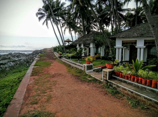 Palm Tree Natural Bungalow Varkala