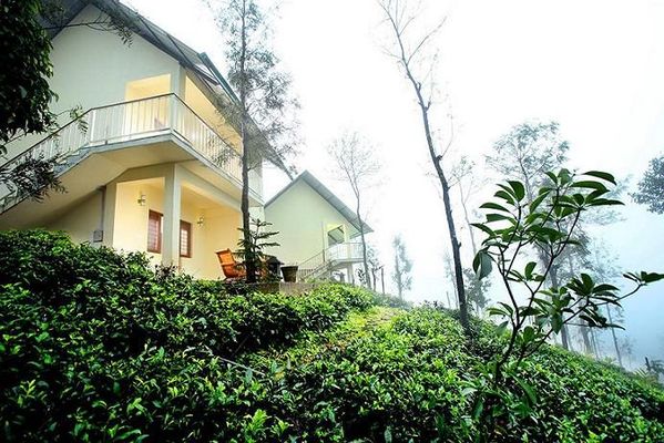 Winter Vale Green Stay Vagamon