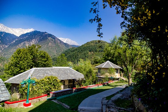 Udechee Huts Mcleodganj