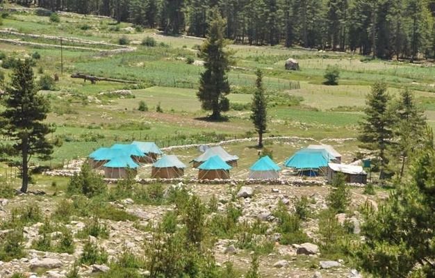 Ibex Camp